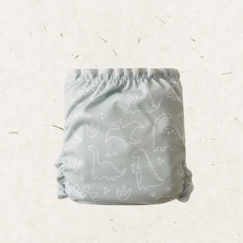 Eco Mini Newborn AIO Cloth Diaper Tygblöjor -  Dino